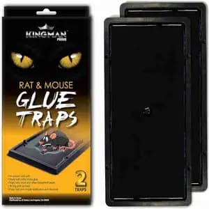 Rat & Mouse Glue Traps - Kingman