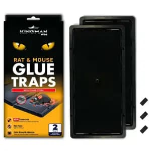 Rat & Mouse Glue Traps with Connectors - Kingman