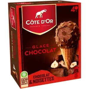 Chocolate & Hazelnut Ice Cream - Côte D'or