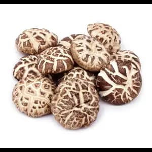 Dried Flower Mushrooms - Sea Quality