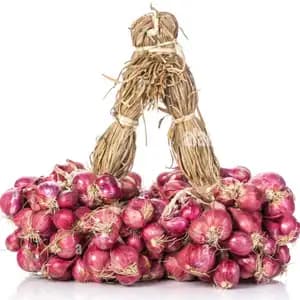 Organic Shallot Bunch