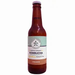 Kombucha Cinnamon - Tangy Turtle Probiotics