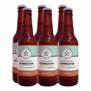 Kombucha Cinnamon X6 - Tangy Turtle Probiotics