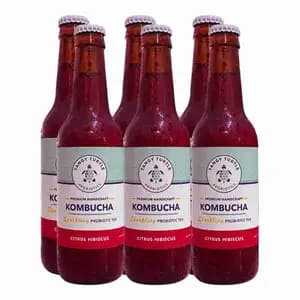 Kombucha Citrus Hibiscus X6 - Tangy Turtle Probiotics