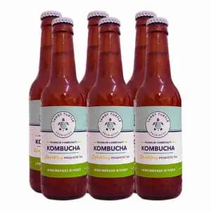 Kombucha Lemongrass Ginger X6 - Tangy Turtle Probiotics