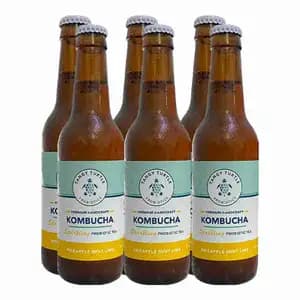 Kombucha Pineapple Mint Lime X6 - Tangy Turtle Probiotics