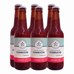 Kombucha Raspberry Lime X6 - Tangy Turtle Probiotics