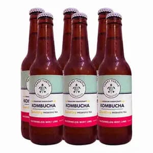 Kombucha Watermelon Mint Lime X6 - Tangy Turtle Probiotics