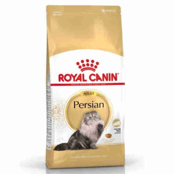 Adult Persian