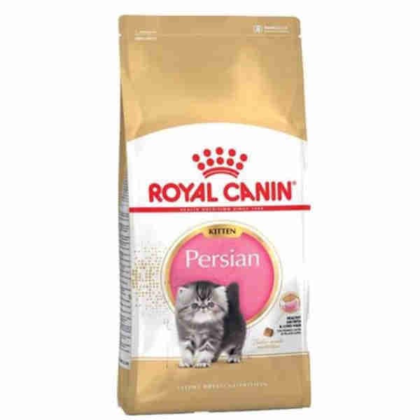 Kitten Persian 10KG