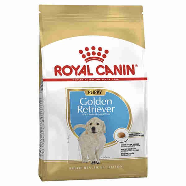Golden Retriever Puppy - Royal Canin