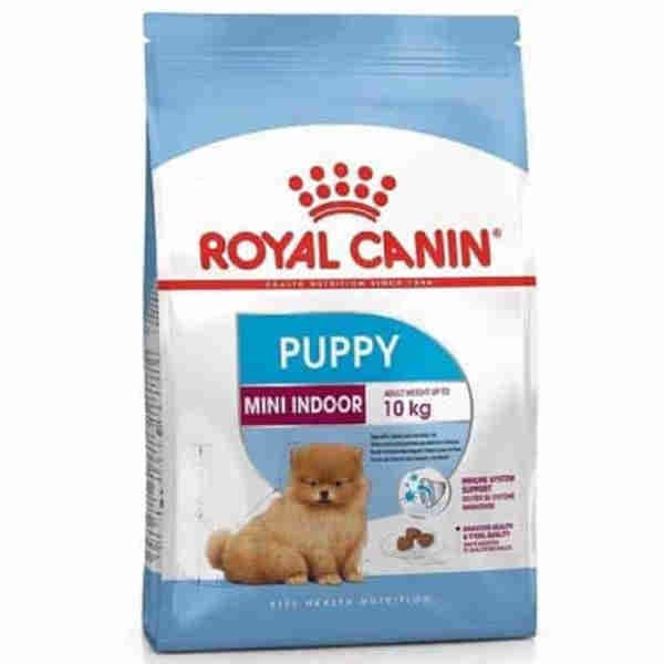 ចំណីសំរាបកូនឆ្កែ ពូជតឿ -Royal Canin