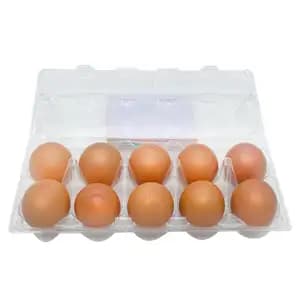 UV Eggs