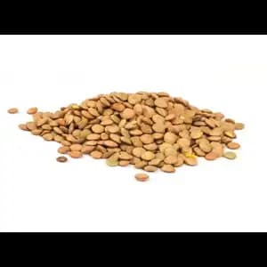 Dry Yellow Bean