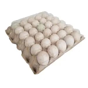 Fresh Duck Eggs with Paper Pulp Tray Size L