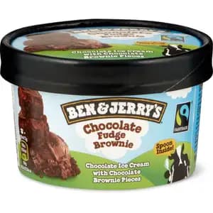 Chocolate Fudge Brownie - Ben & Jerry's
