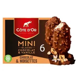 Mini Glass Chocolate & Vanilla Ice Cream Bars - Côte D'or