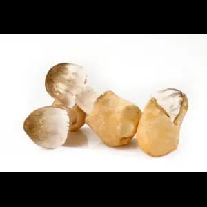 Rice Straw Mushroom