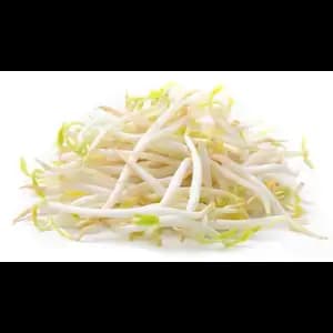 Bean Sprout