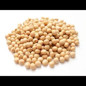 Dry Soja Bean