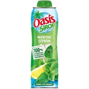 Mint Lemon Syrup - Oasis