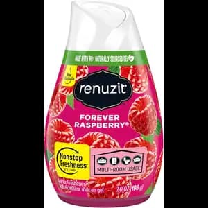 Gel Air Freshener Cone Forever Raspberry - Renuzit - Renuzit