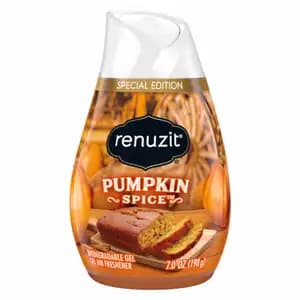 Gel Air Freshener Pumpkin Spice - Renuzit - Renuzit