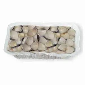 Chilled White Clams 1,2kg - Royal Fine Foods