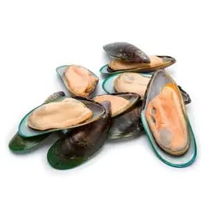 Green Half Shell Mussel - Royal Fine Foods