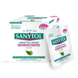 Disinfectant Wipes - Sanytol