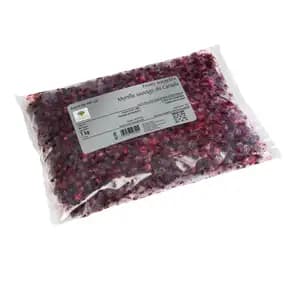 Blueberry - Ravifruit - Ravifruit