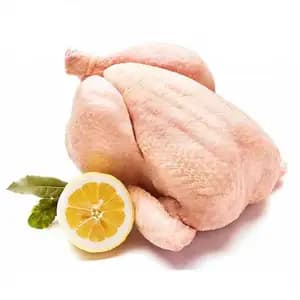 Whole Chicken - DanMeat