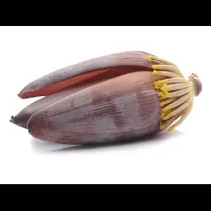 Banana Flower
