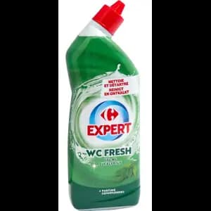 Expert Fresh Gel WC Eucalyptus - Carrefour