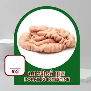 Big Intestine - Ruminant-28 Meat Store