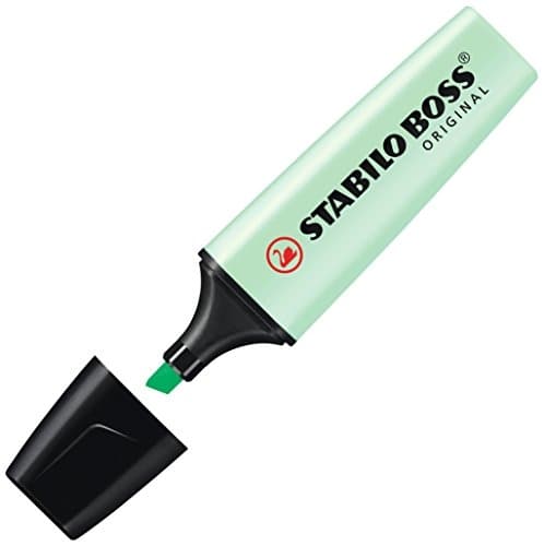 Pastel Mint Boss Highlighter