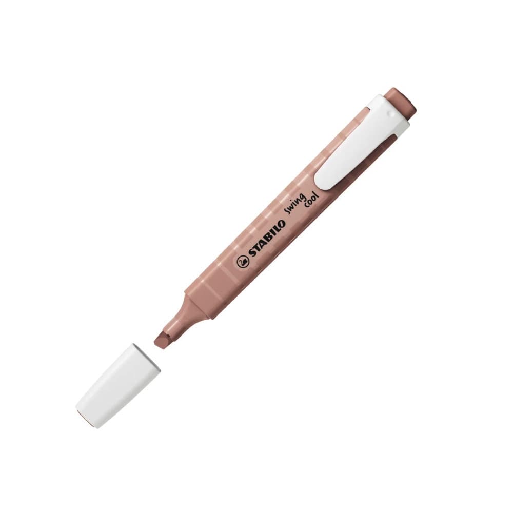 Nature Umber Swing Cool Highlighter