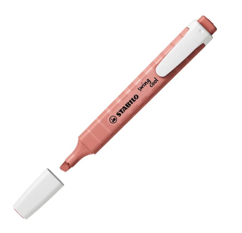 Nature Sienna Swing Cool Highlighter