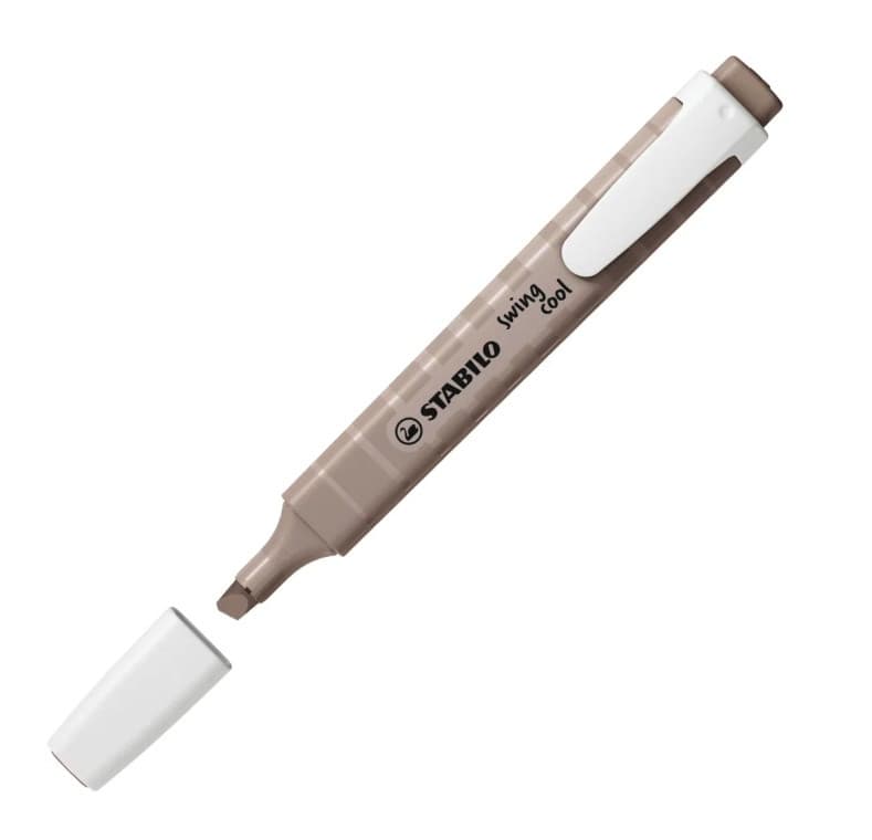 Nature Warm Grey Swing Cool Highlighter