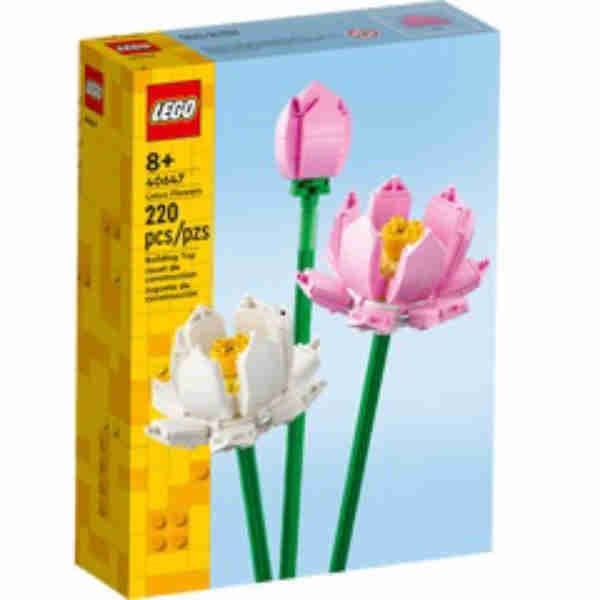 Lotus Flowers