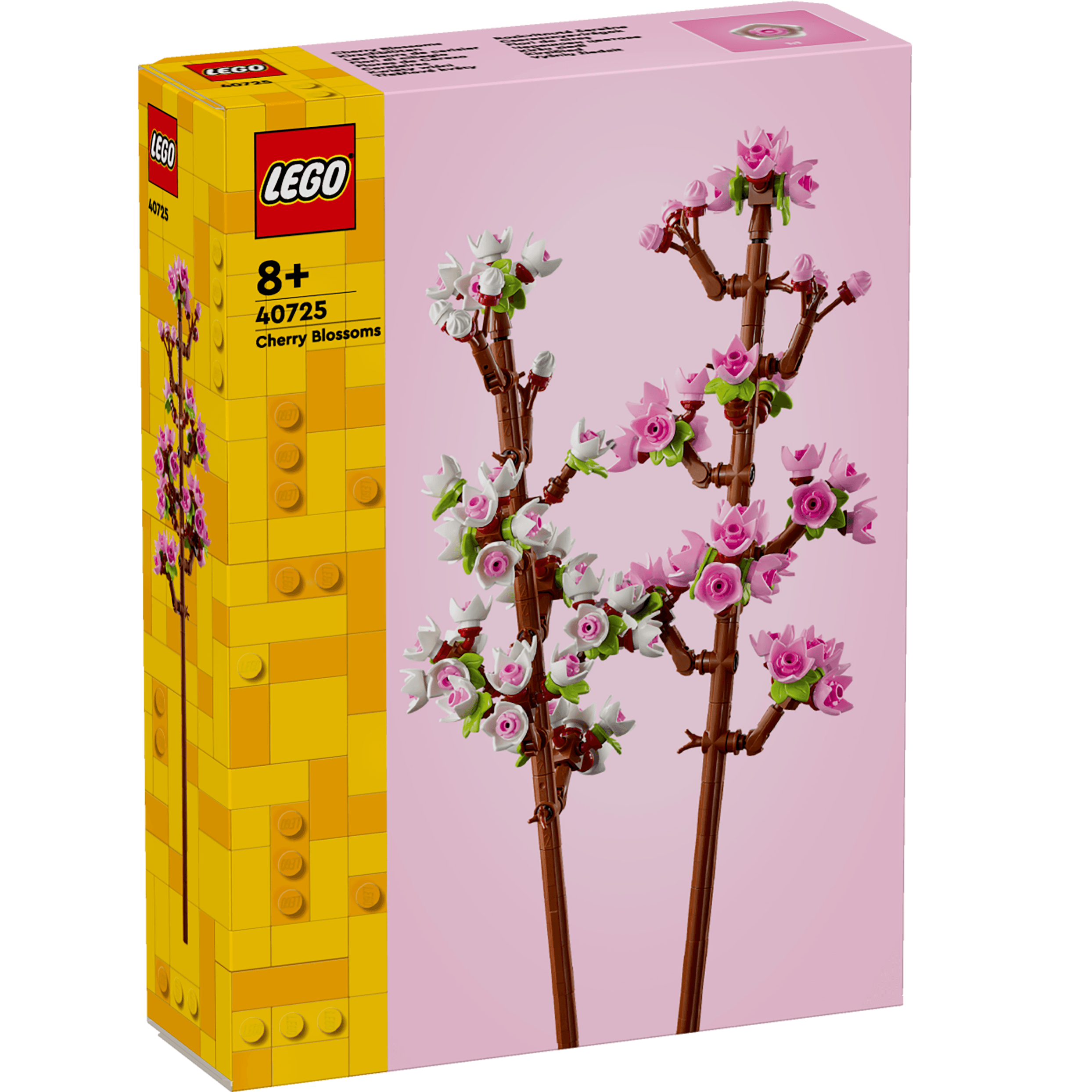 Cherry Blossoms