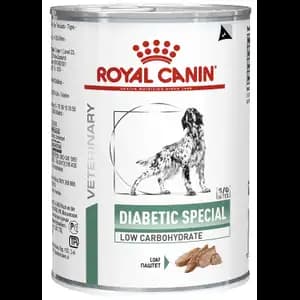 Diabetic Special - Royal Canin