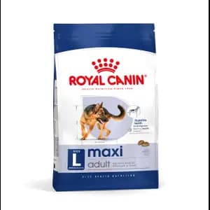 Professional Maxi Adult - Royal Canin