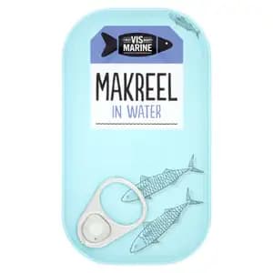 Mackerel in Water - Vis Marine