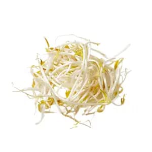 Soybean Sprout