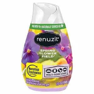 Spring Flower Field - Renuzit