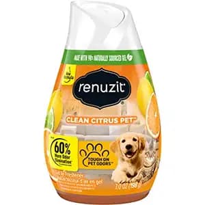 Gel Air Freshener Clean Citrus - Renuzit
