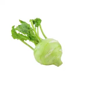 Green Kholrabi