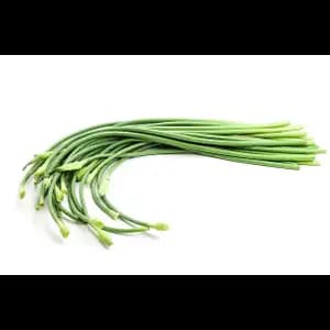 Garlic Shoots