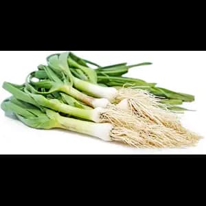 Green Garlic